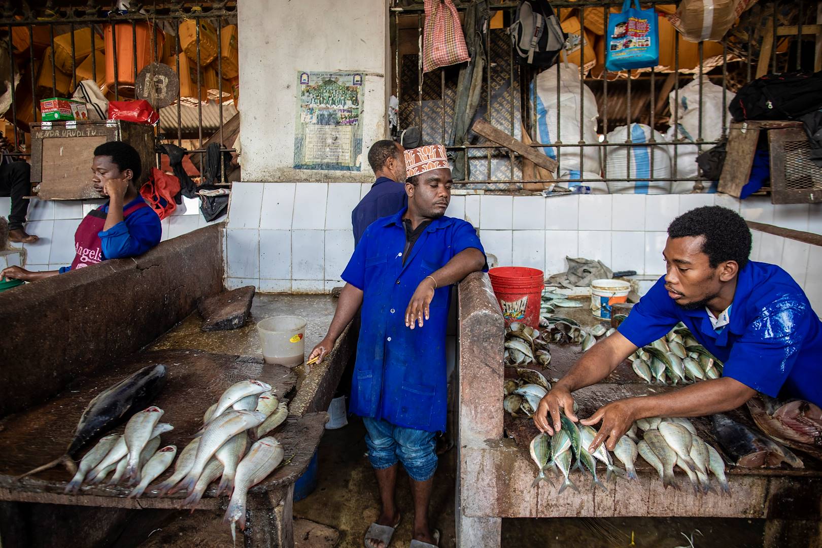 Stand de poissons au marché - Stone Town - Zanzibar Vieille Ville - Tanzanie