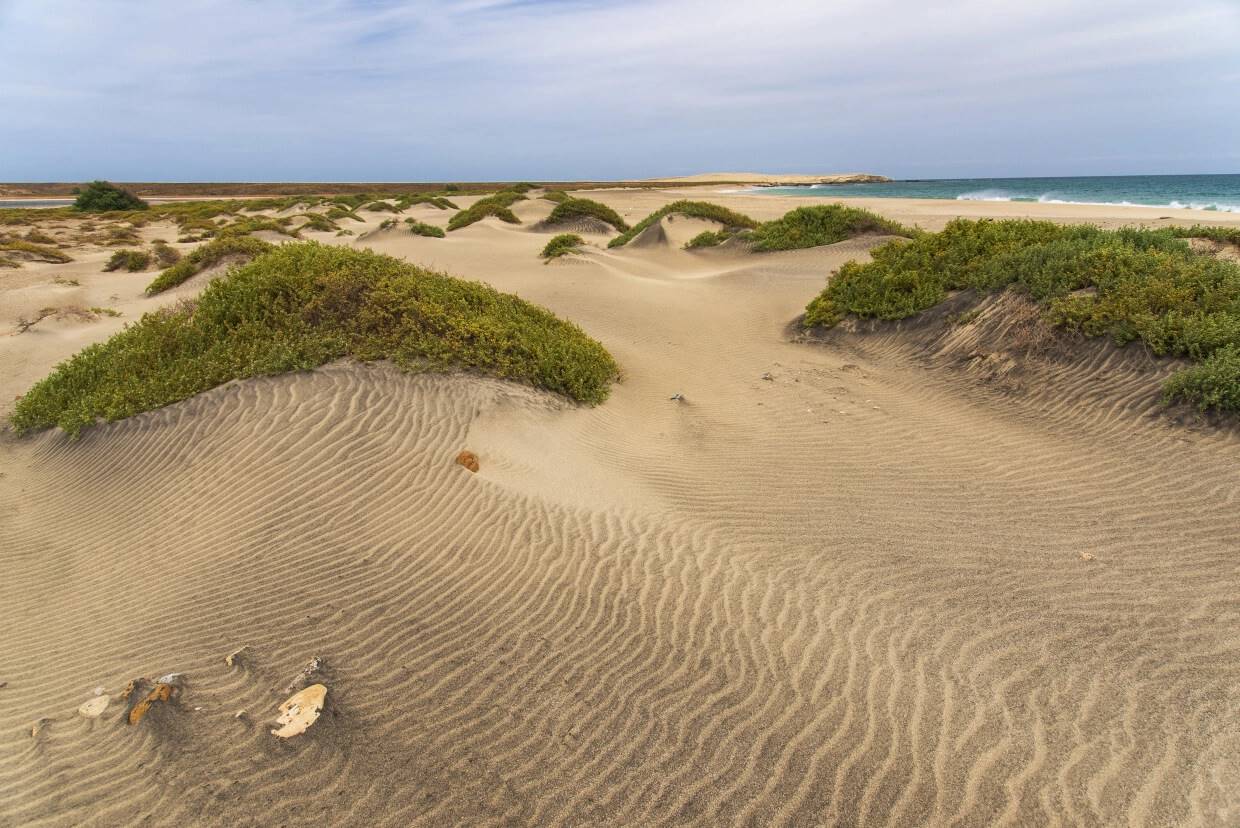 Île de Maio - Cap Vert