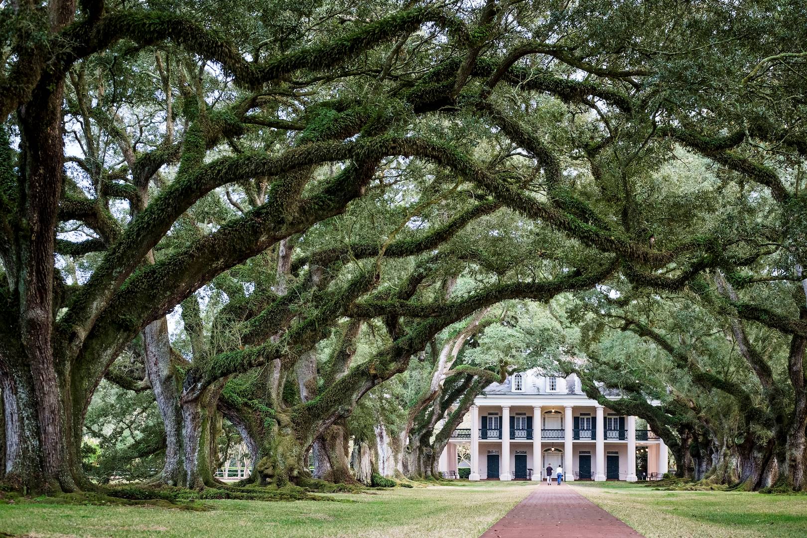 Sur la route des Plantations : la demeure Oak Alley Plantation - Louisiane - Etats Unis