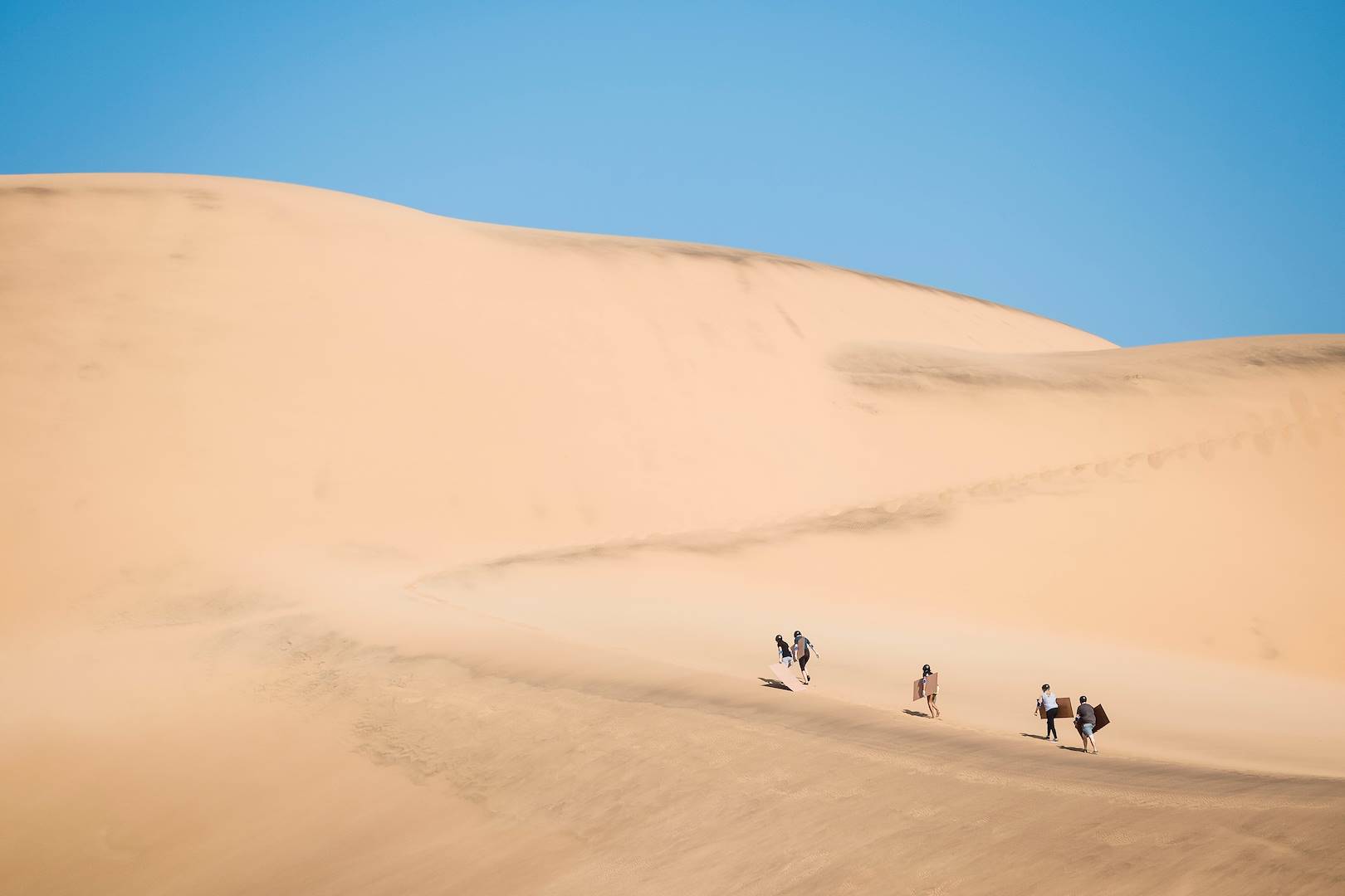 Surf de sable sur les dunes - Swakopmund - La Cote - Namibie