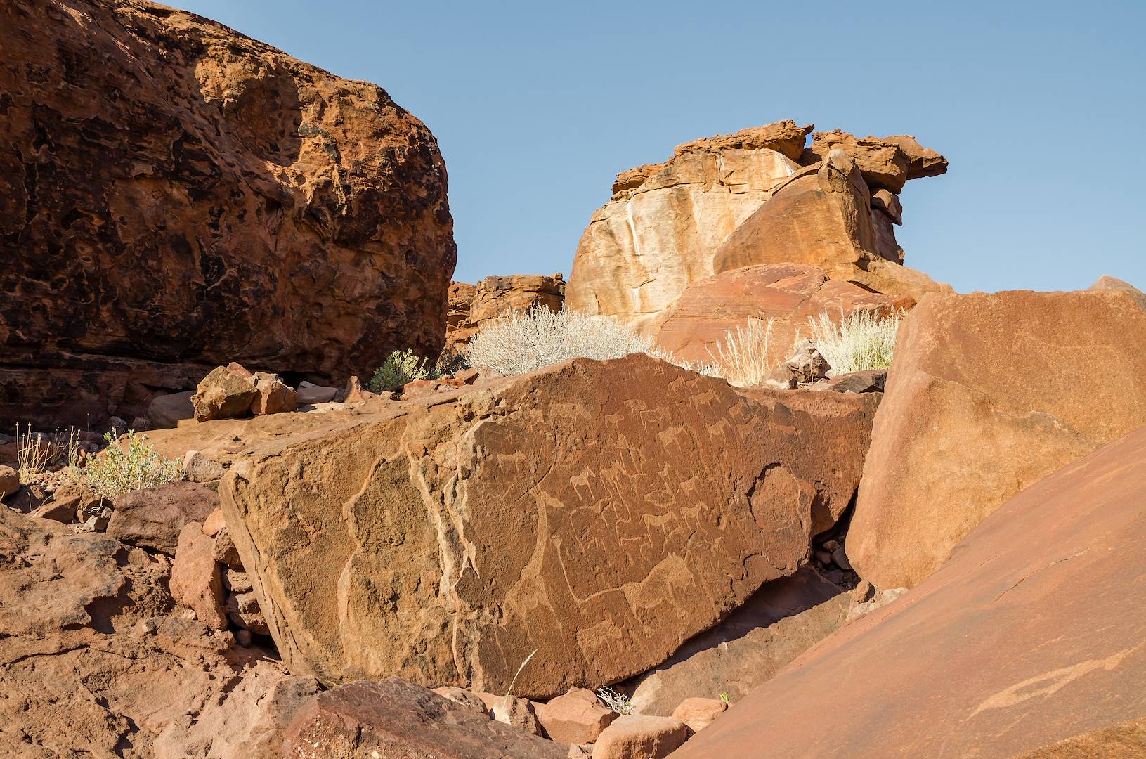 Petroglyphes - Twyfelfontein - Namibie