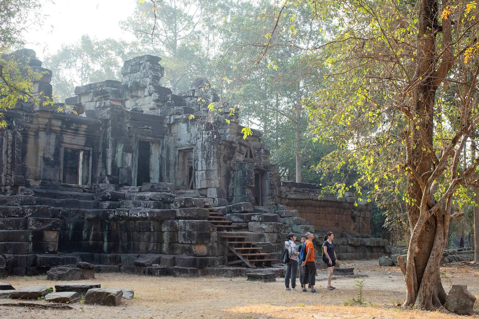 Découverte des vestiges d'un temple - Siem Reap - Cambodge