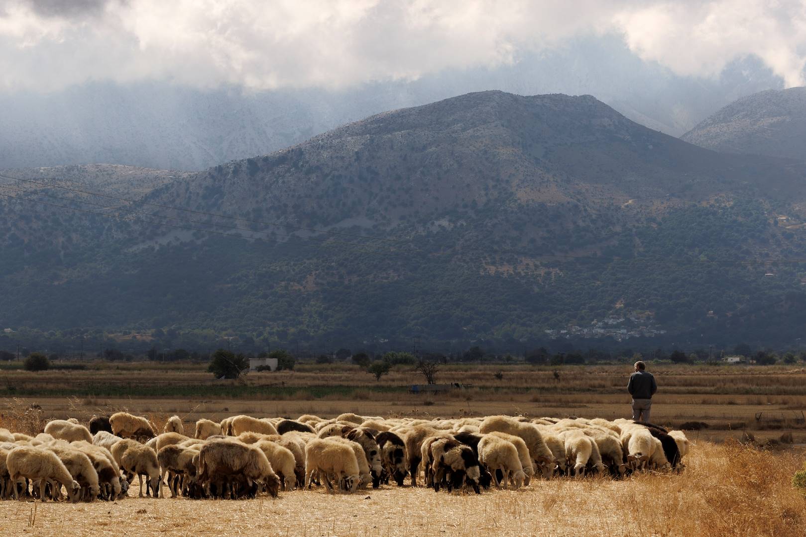 Rencontre avec les bergers du Plateau du Lassithi - Crète - Grèce