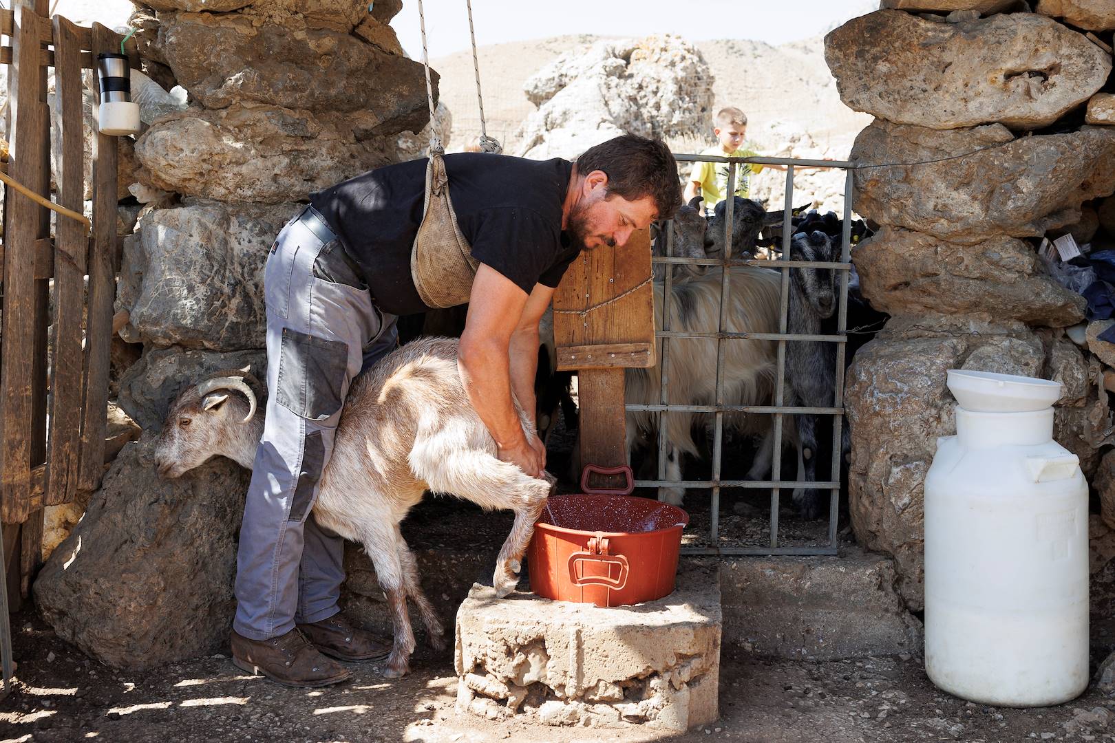 Immersion dans la vie d'un berger crétois dans les montagnes de Psiloritis - Gergeri - Crète - Grèce