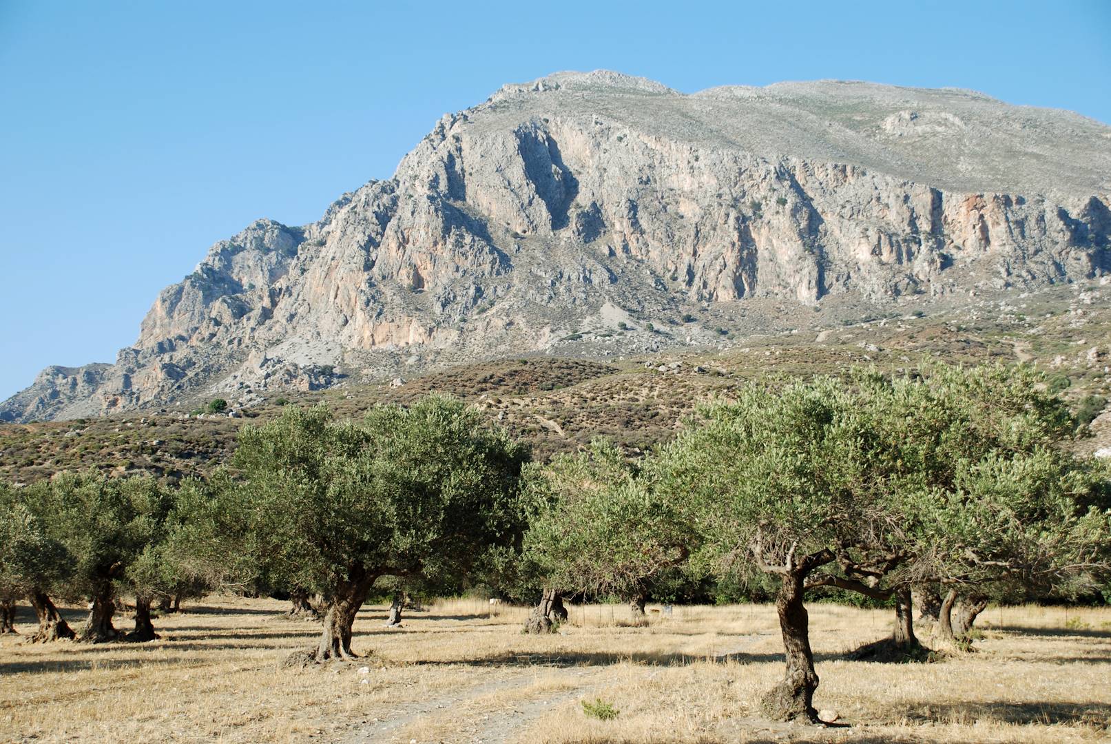 Préveli - Crète - Grèce