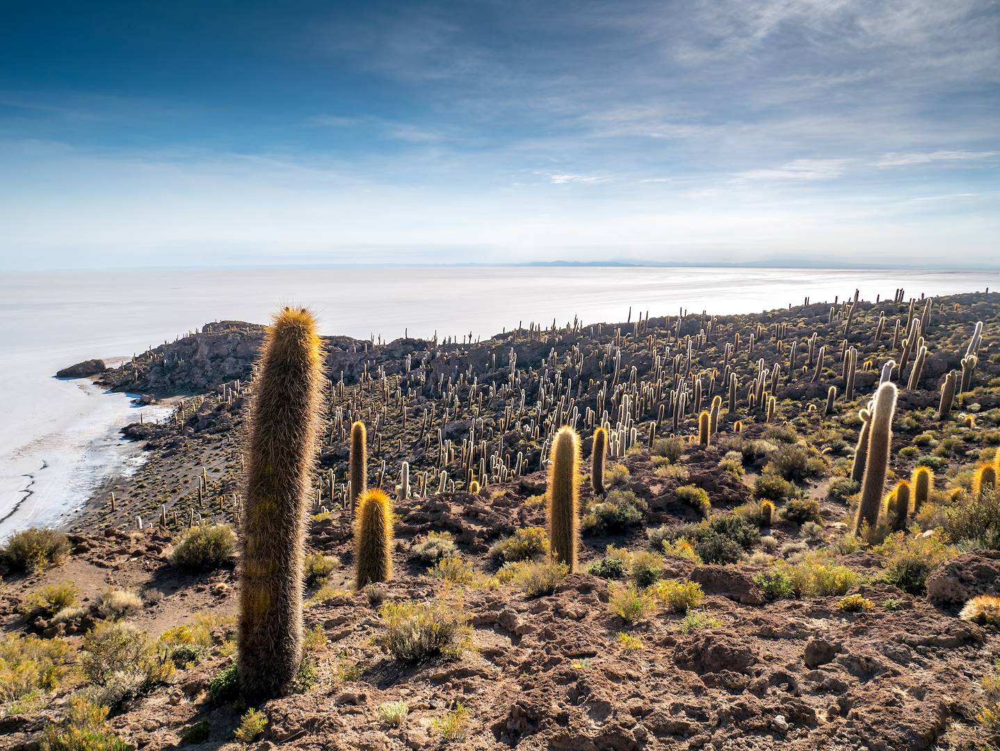 Incahuasi - Salar d'Uyuni - Bolivie