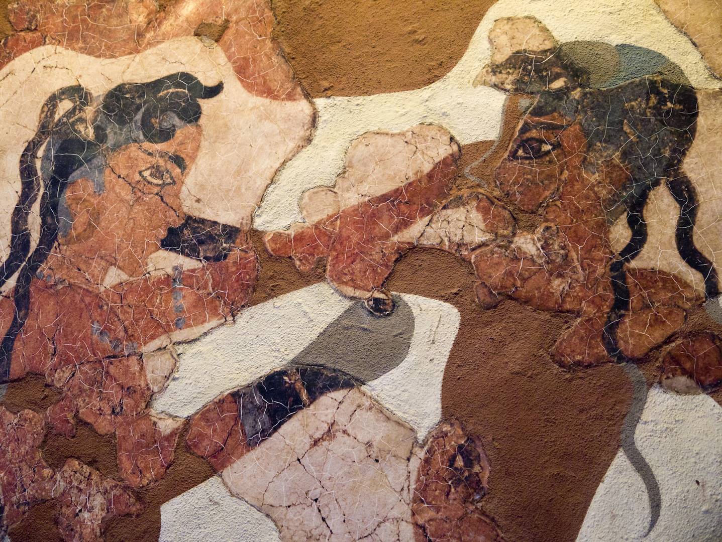 Fresque dans le site archéologique d'Akrotiri - Santorin - Grèce