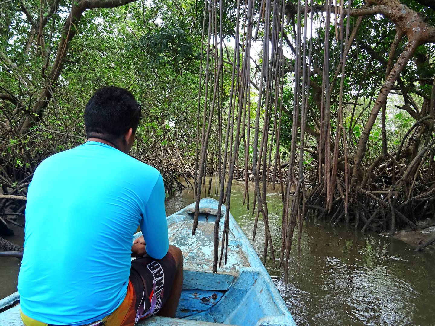 Sur le delta du Parnaiba - Piauí - Brésil
