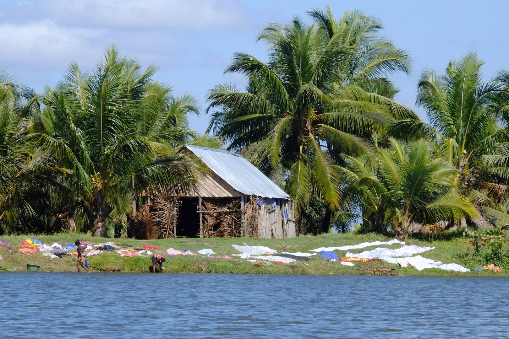 Autour du canal des Pangalanes à Manakara - Région Vatovavy-Fitovinany - Madagascar