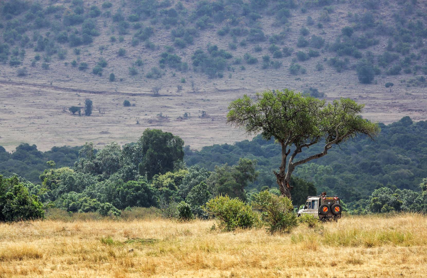 Safari dans la réserve du Masai Mara - Kenya