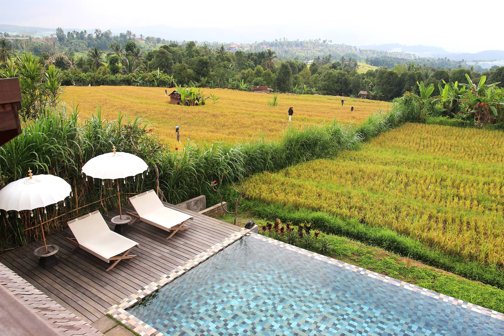 Hébergement à Munduk - bali - Indonésie