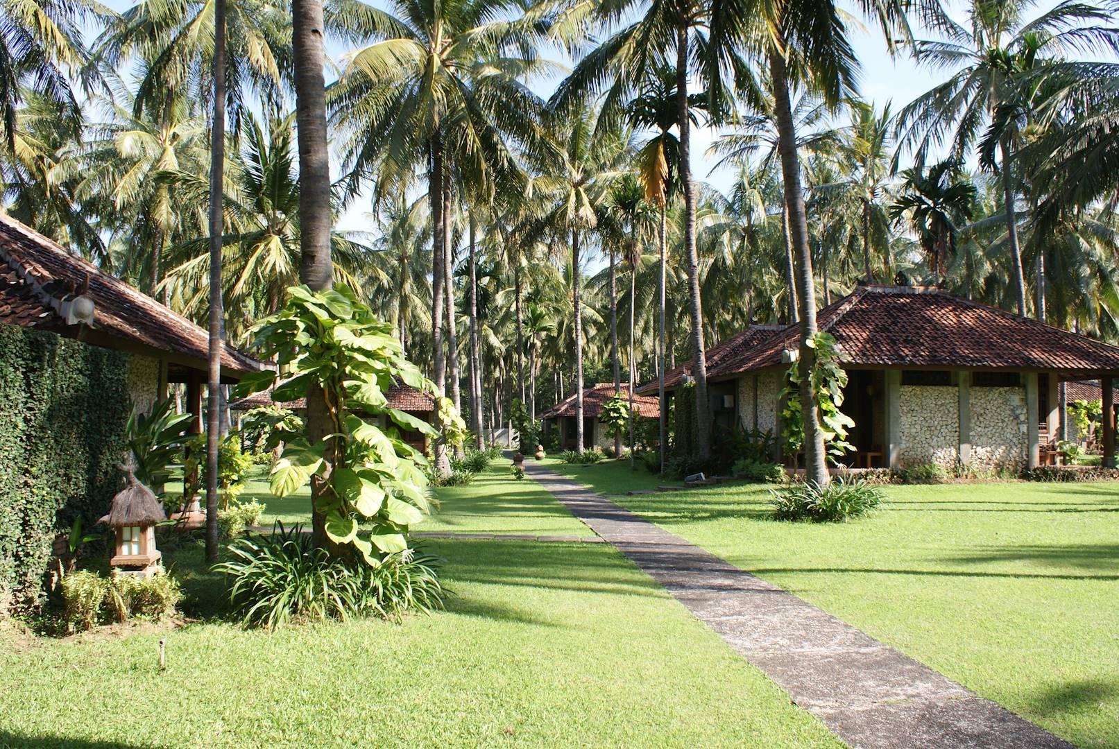 Hébergement à Banyuwangi - Java - Indonésie