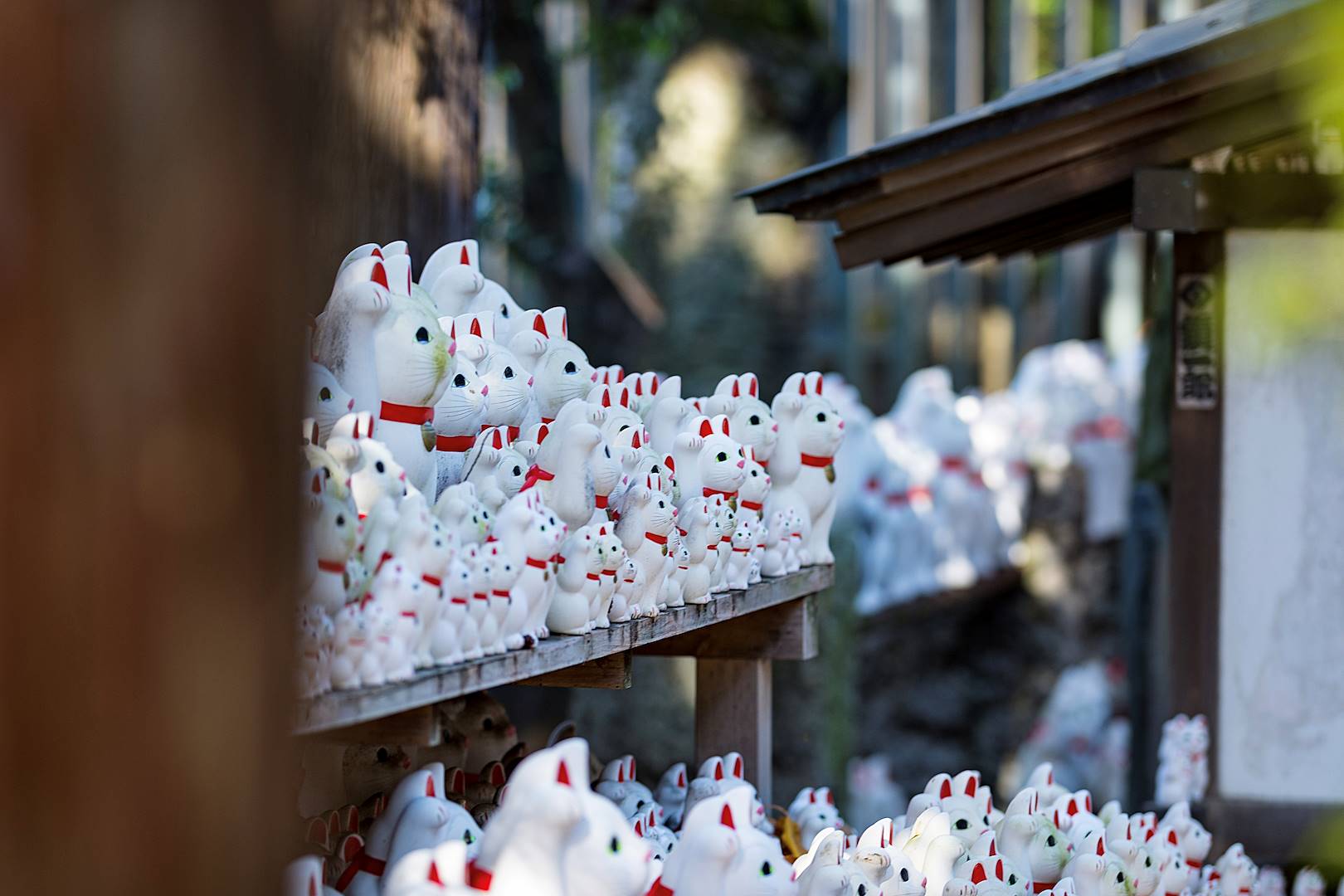Temple Gotoku-ji - Tokyo - Japon