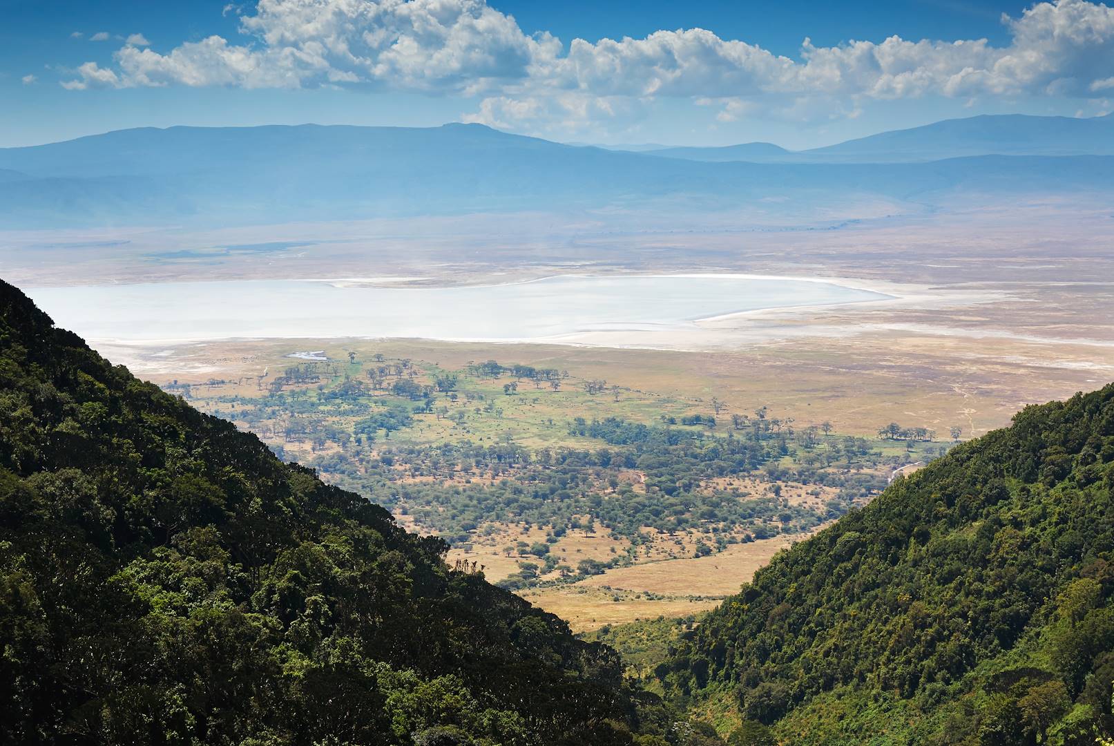 Cratère du Ngurdoto - Tanzanie