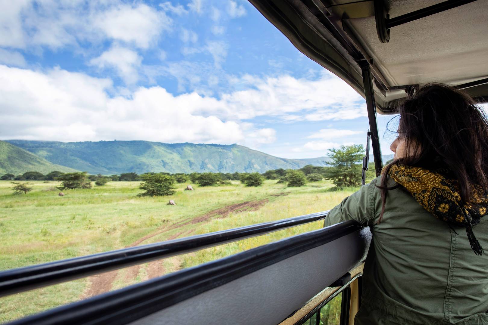 Safari au Cratère de Ngorongoro - Cratère de Ngorongoro - Nord - Tanzanie
