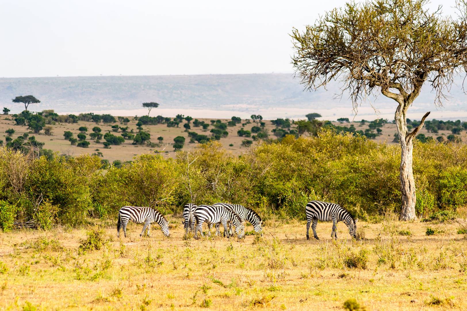 mombasa masai mara safari