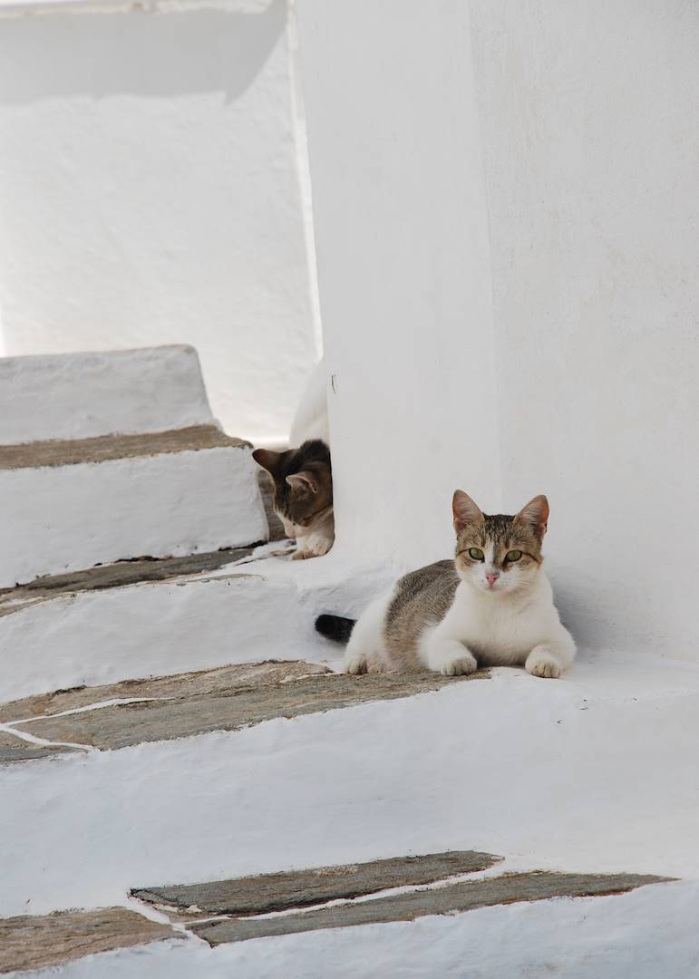 Sifnos - Grèce