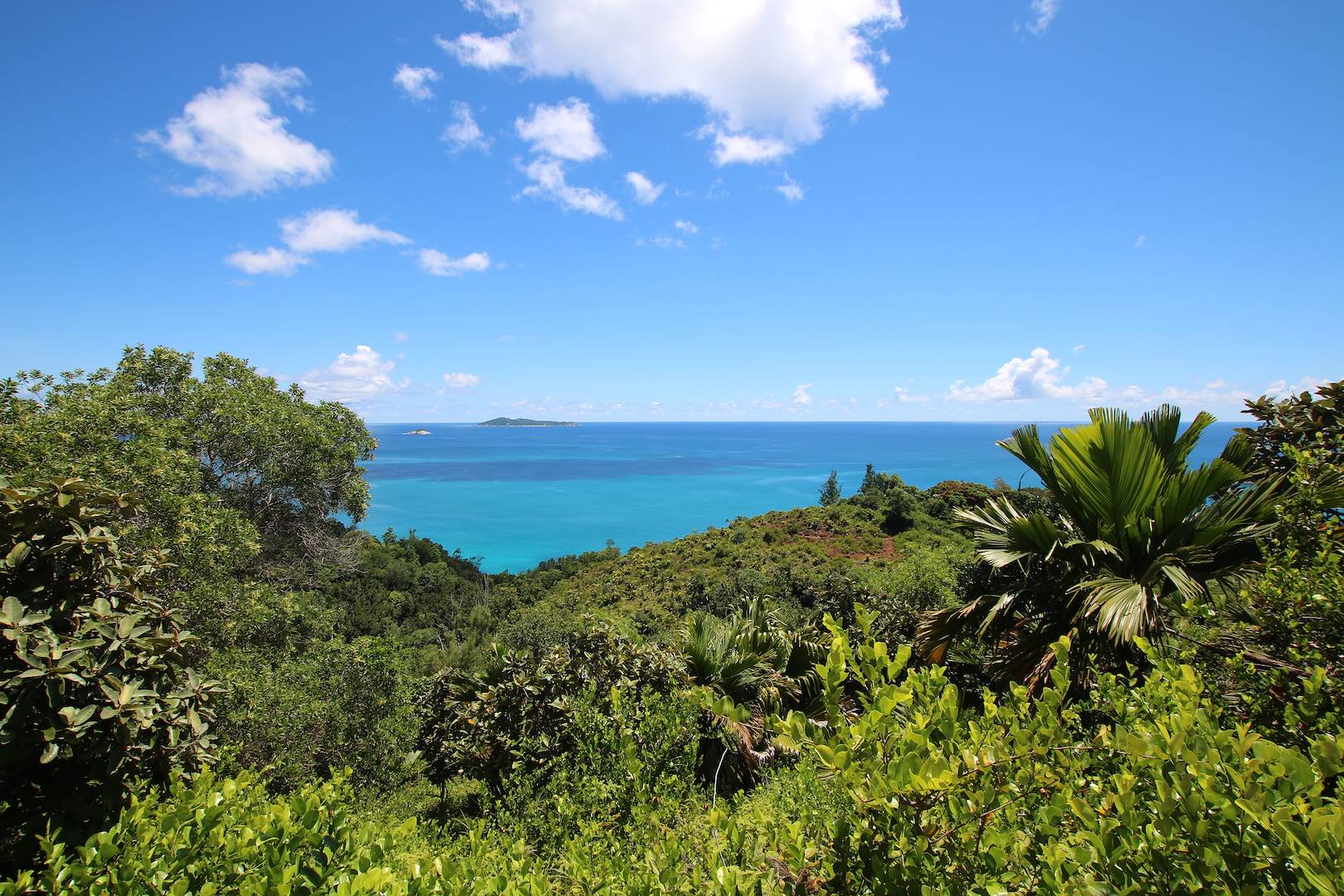 Vue sur l'Océan Indien de l'île Aride - Ile Aride - Seychelles.