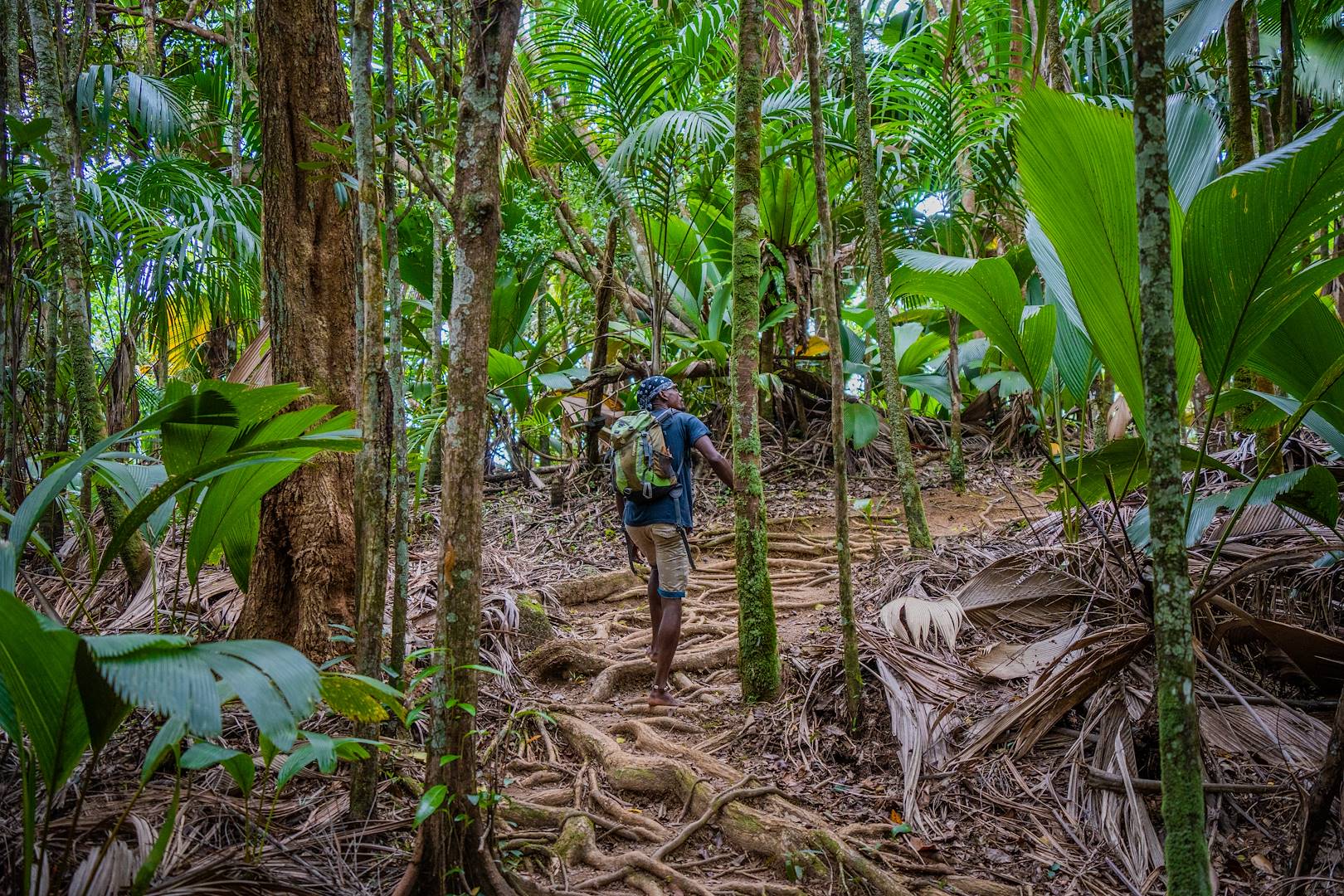 Randonnée du Glacis Noir sur l'île de Praslin - Seychelles