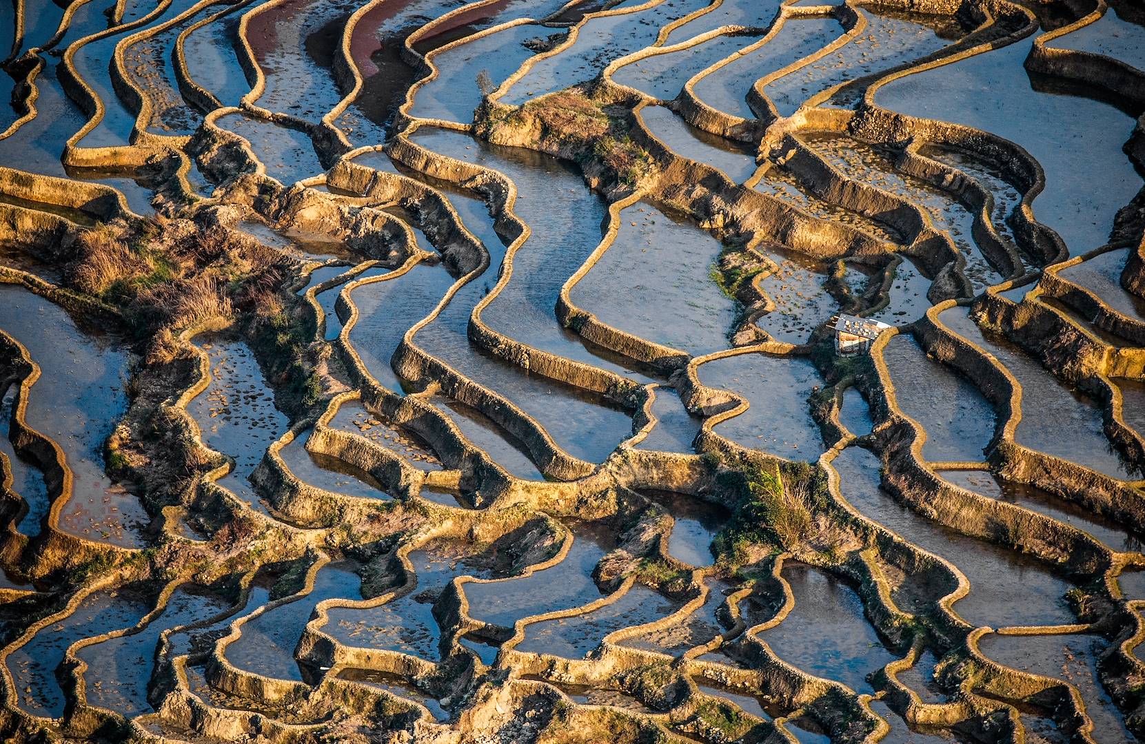 Rizières de Yuanyang - Yunnan - Chine