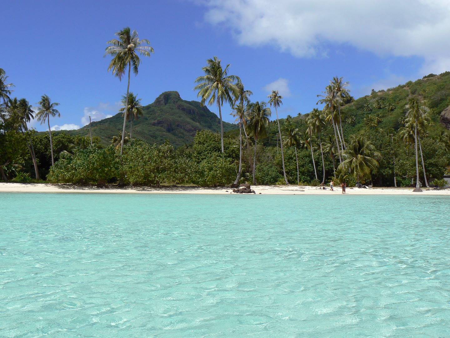 Ile de Maupiti - Iles-sous-le-Vent - Polynésie française