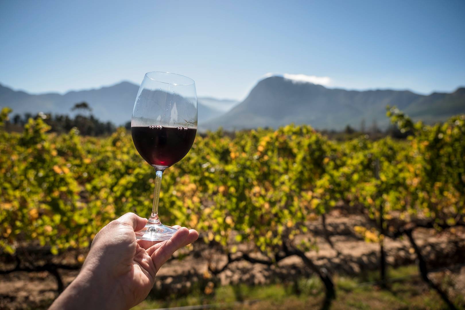 Sur la Route des Vins - Franschhoek - Afrique du Sud