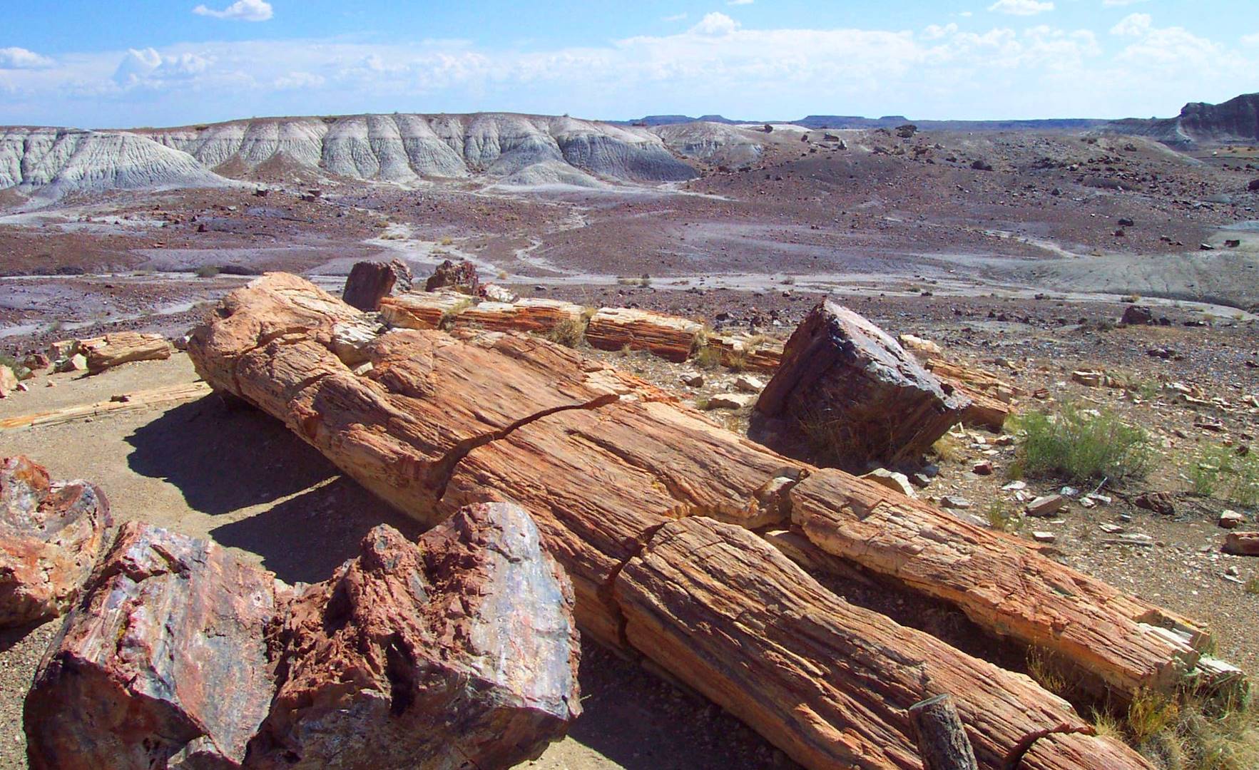 Le parc national de Petrified Forest  - Arizona - Etats-Unis