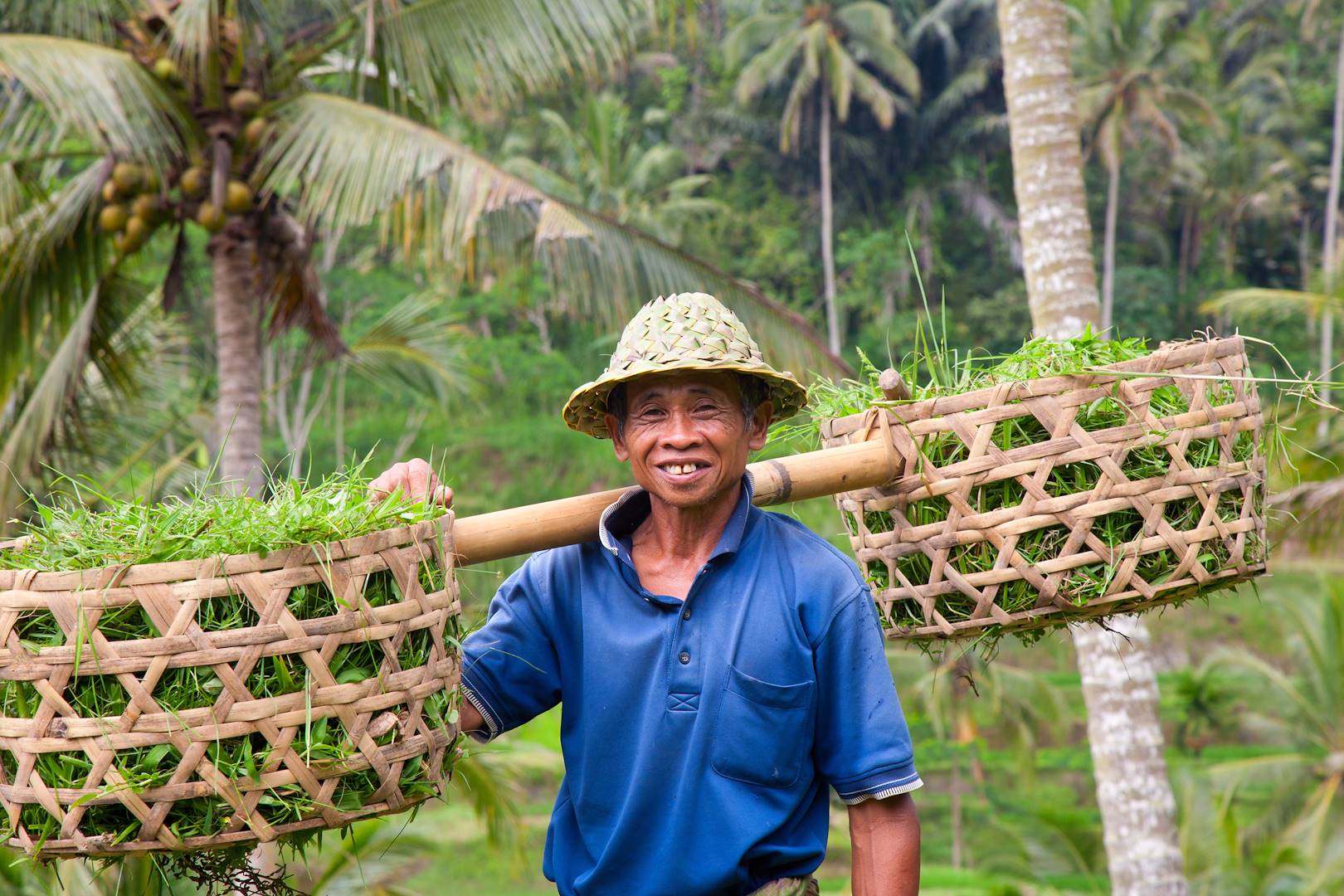 Portrait d'un fermier Indonésien - Bali - Indonésie