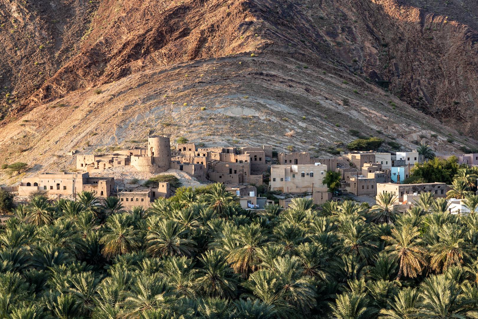 Birkat al Mouz - Oman