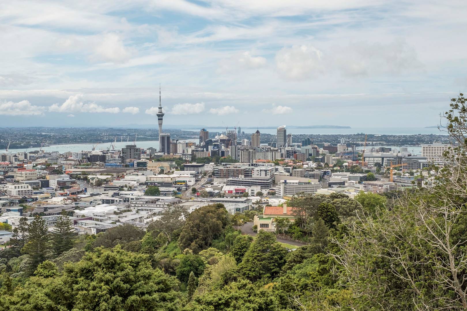Auckland depuis le volcan Mont Eden - Île du Nord - Nouvelle Zélande