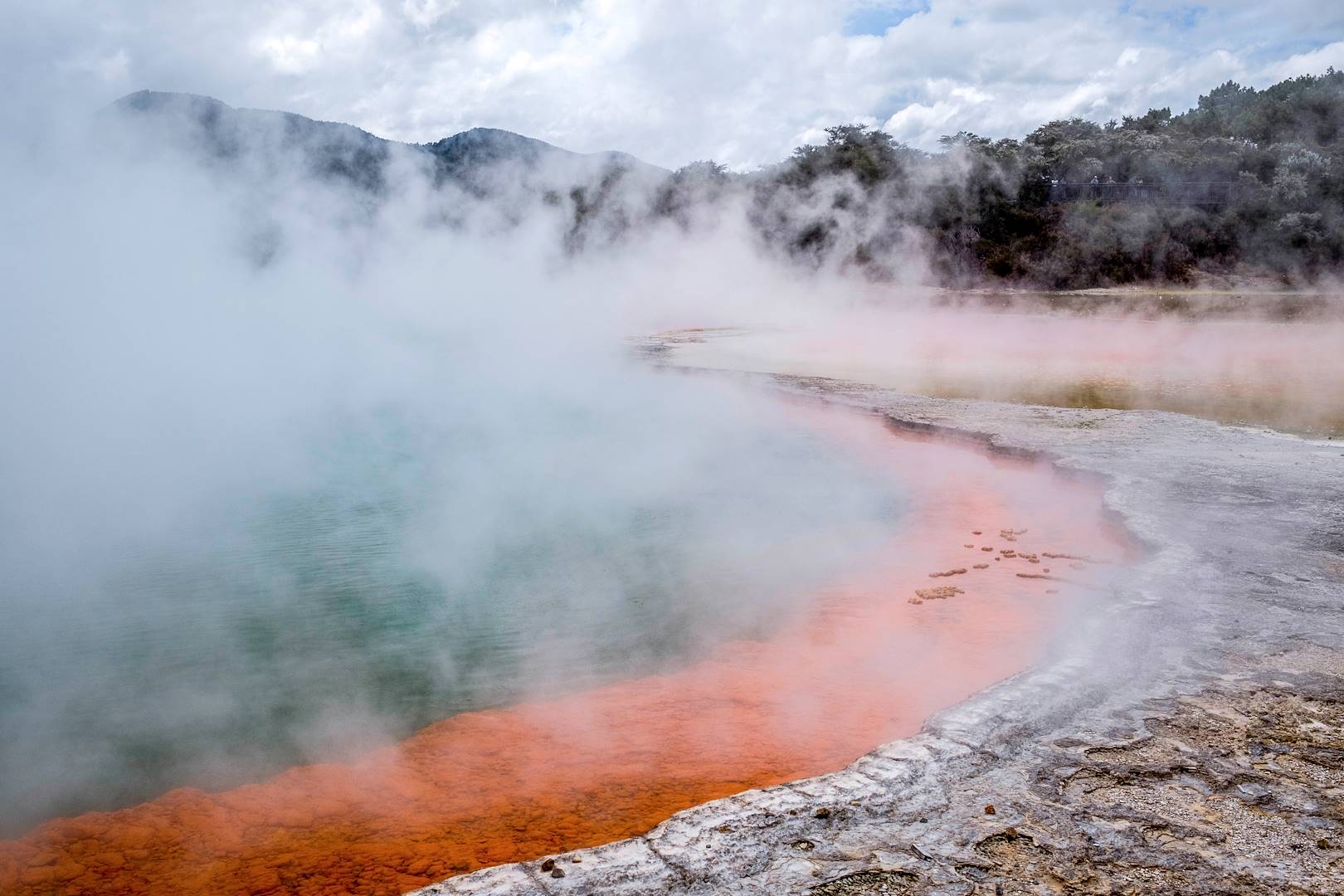 Parc géothermique de Waiotapu - Rotorua - Île du Nord - Nouvelle Zélande