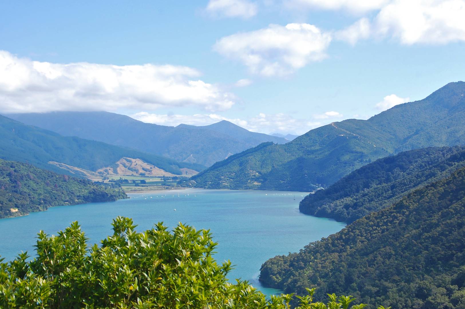 Queen Charlotte Track - Nouvelle Zélande