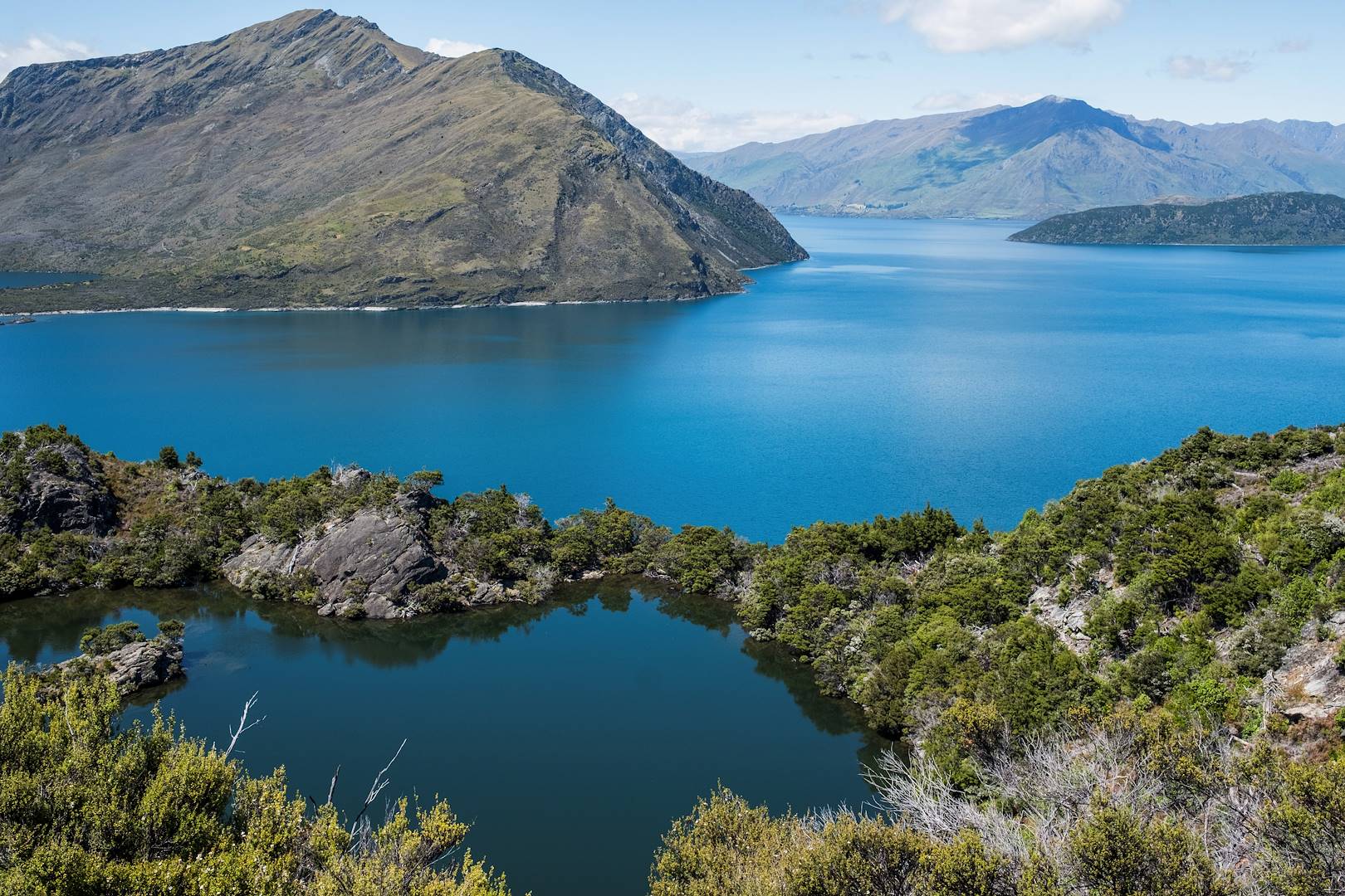 L'île sanctuaire de Mou Waho au cœur du lac Wanaka - Île du Sud - Nouvelle Zélande