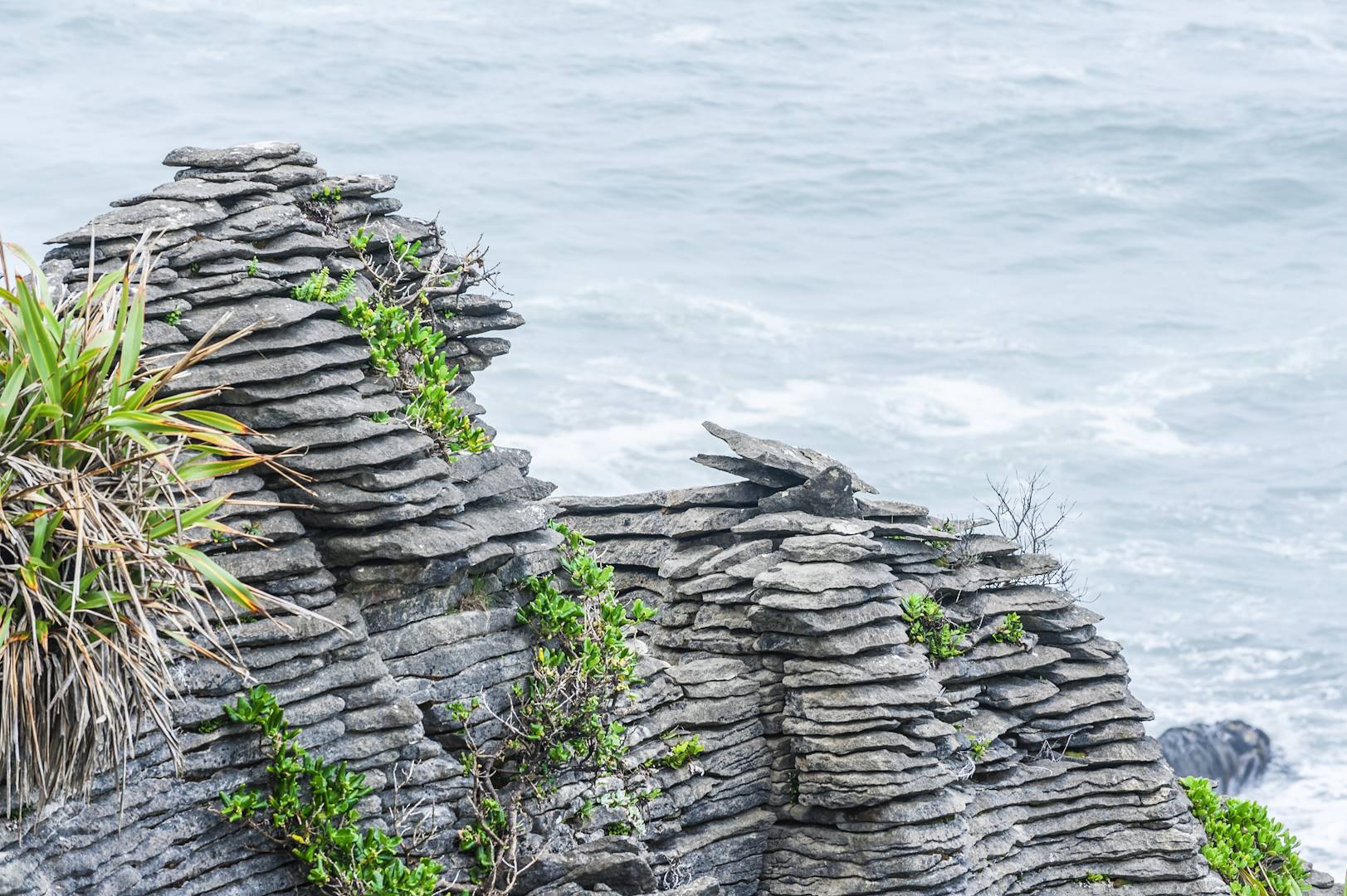 Pancake Rocks - Punakaiki - Île du Sud - Nouvelle-Zélande
