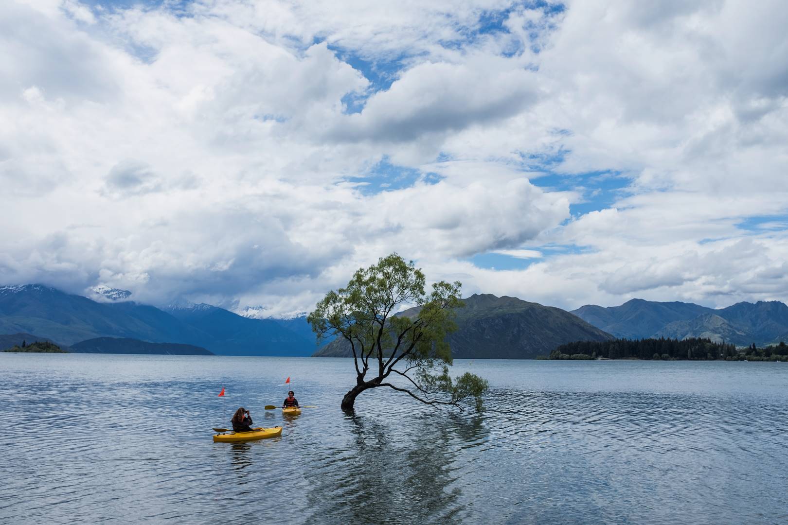 Kayak autour de l'arbre du Lac Wanaka - Île du Sud - Nouvelle Zélande