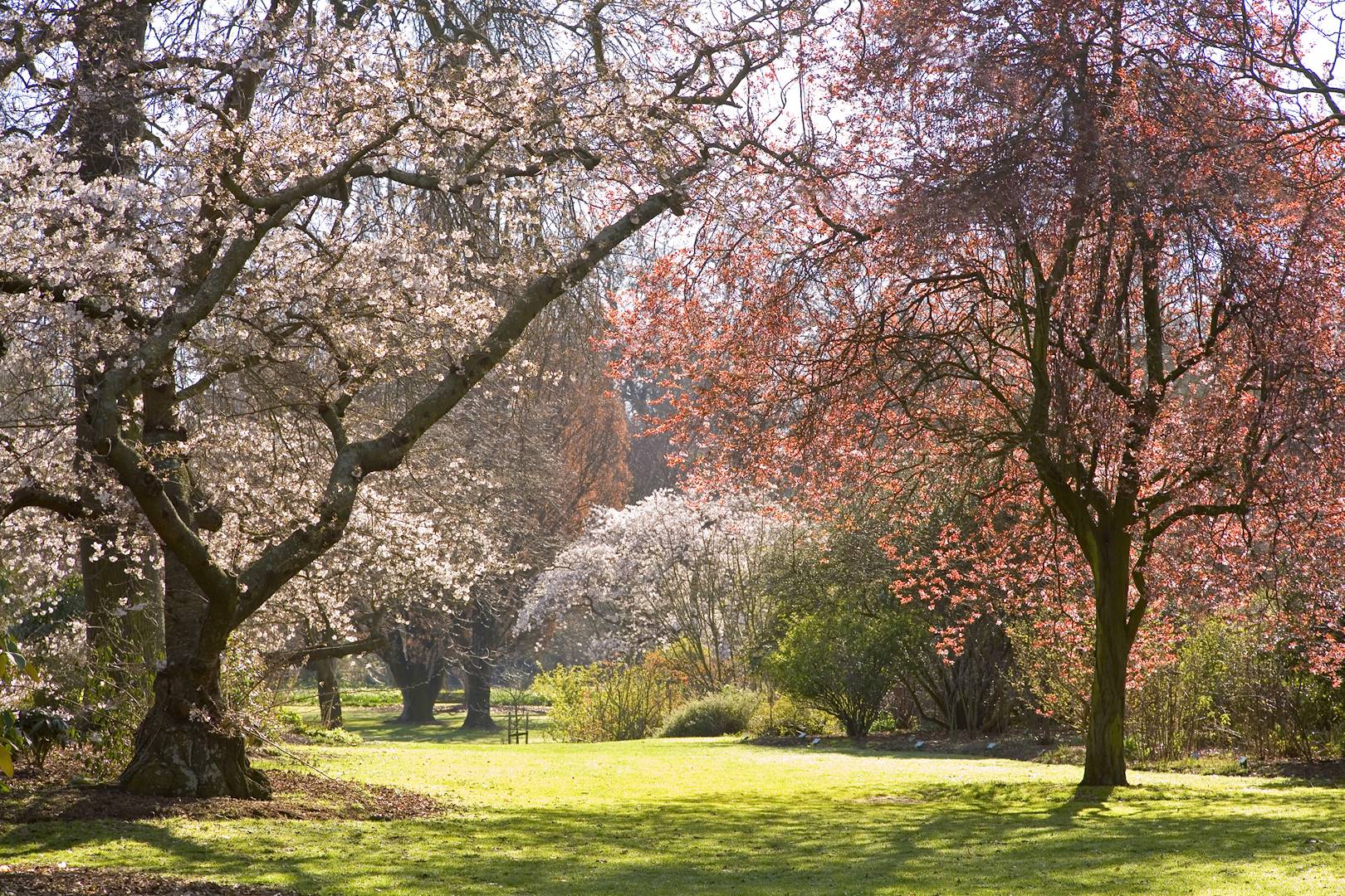 Hagley Park - Christchurch - Nouvelle-Zélande