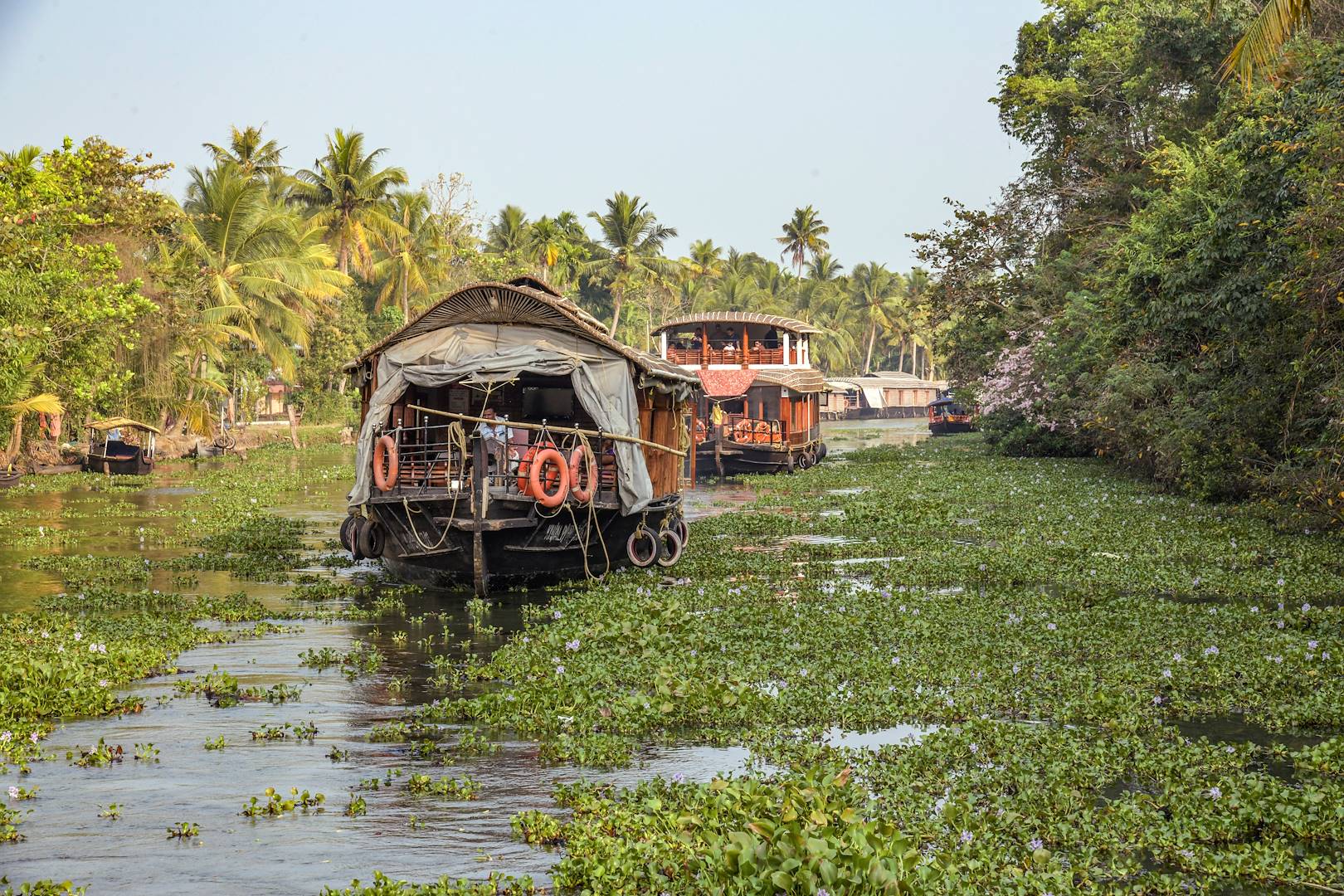 Les canaux du Kerala en bateau - Backwaters - Inde