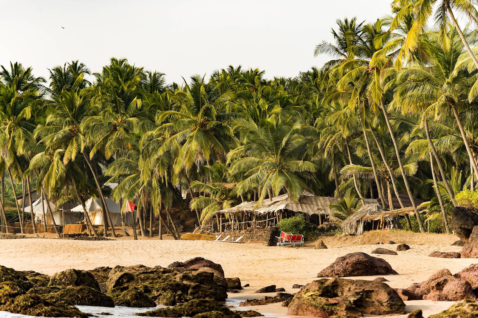 Plage de Varkala - Kerala - India