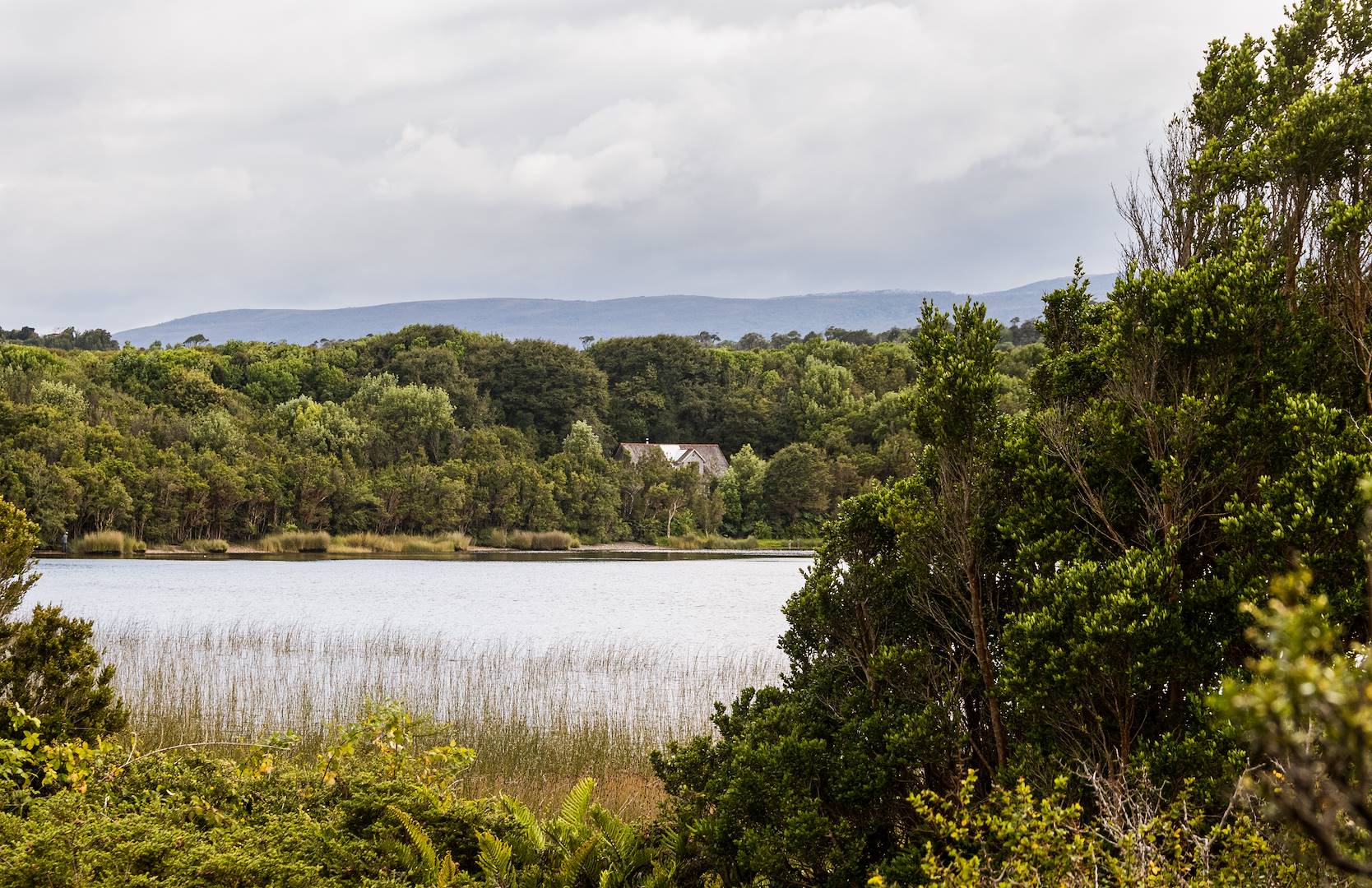 Parc National Chiloé - Région des Lacs - Chili