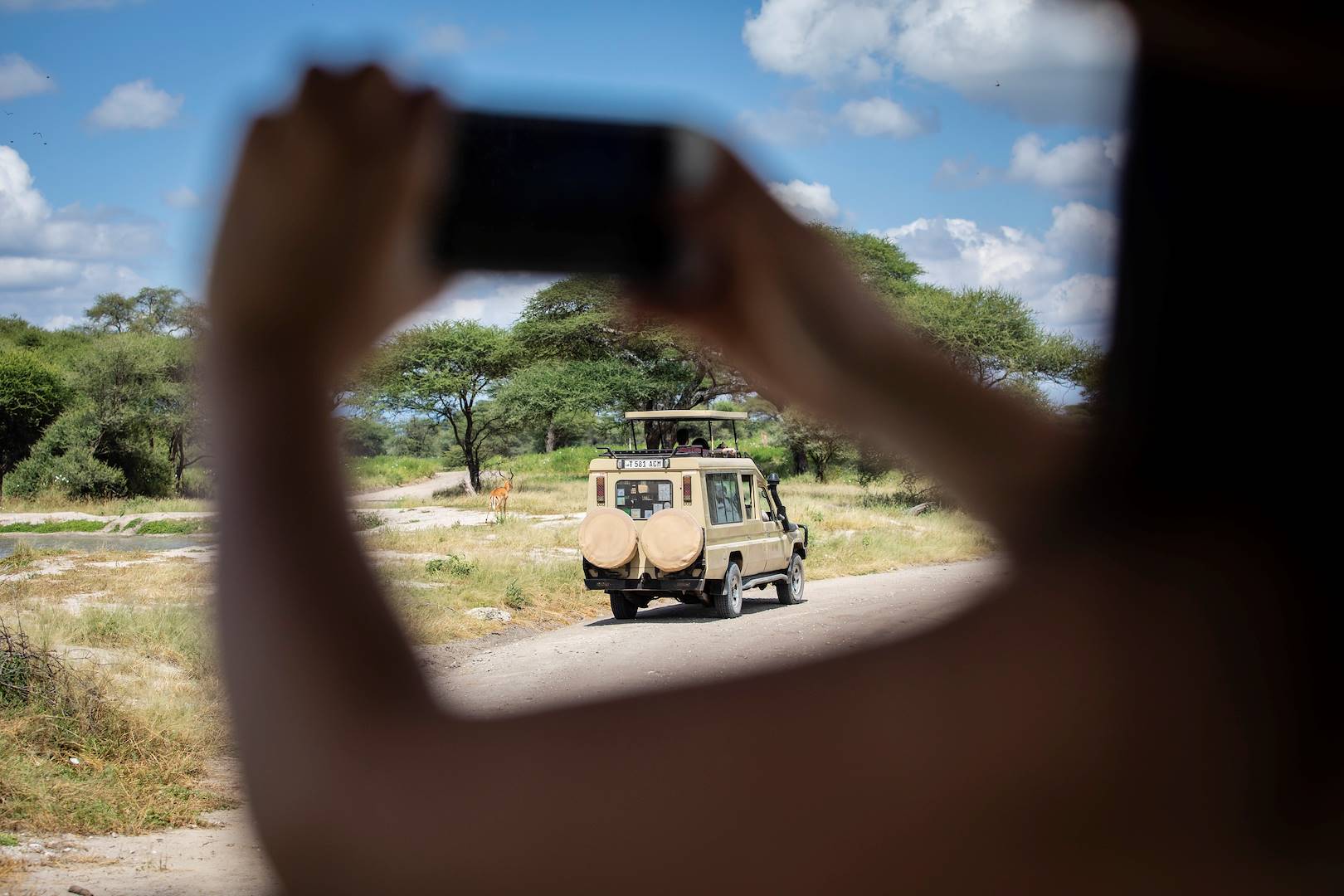 Safari en 4x4 dans la réserve privée de Madikwe - Afrique du Sud