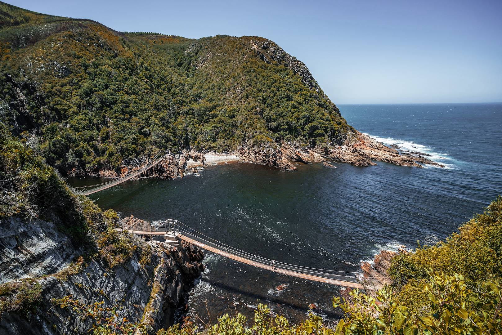 Parc national de Tsitsikamma - Afrique du Sud