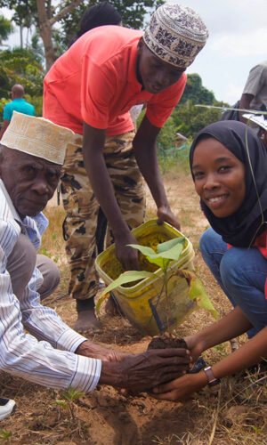 Photo de l’association Kawa Training Center