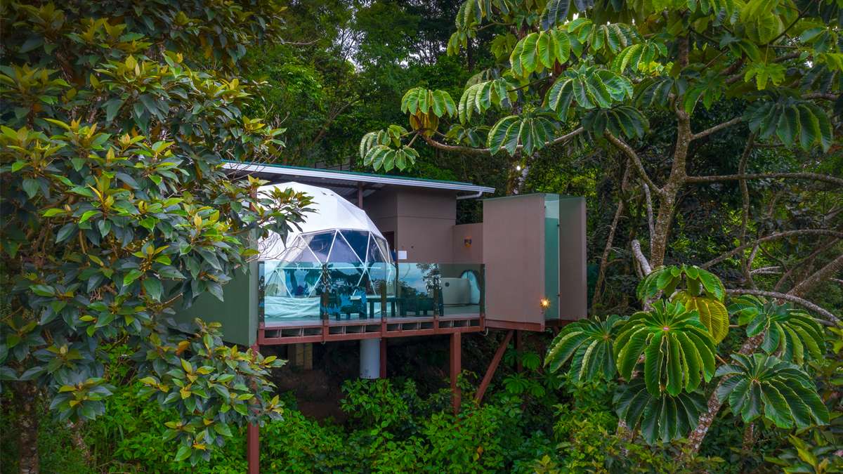 Immersion au Costa Rica