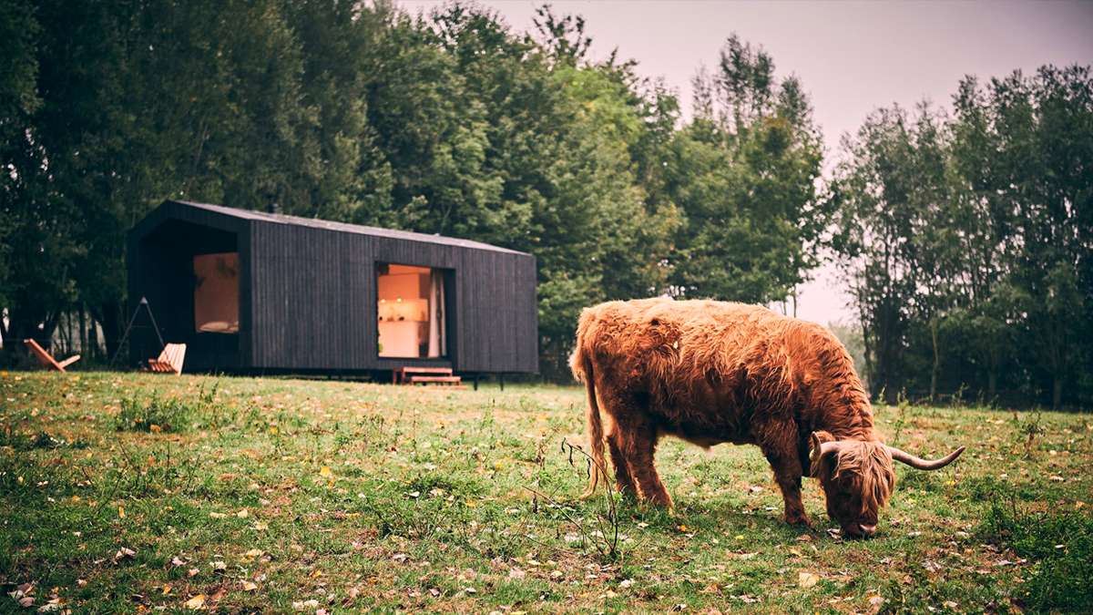 Immersion en Irlande
