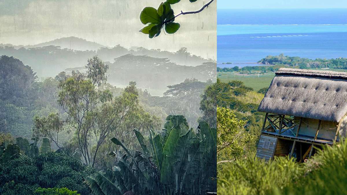 Immersion à l'Île Maurice