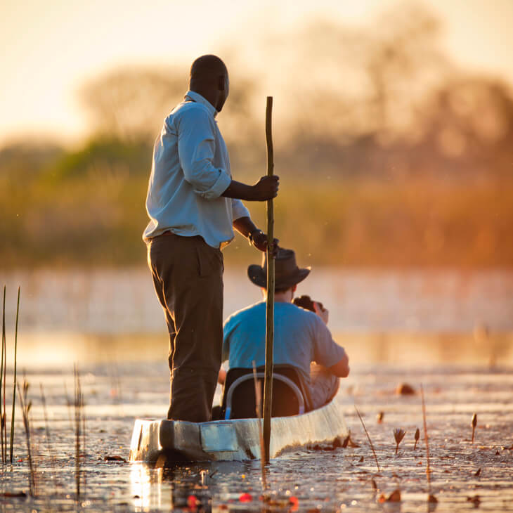 Immersion au Botswana