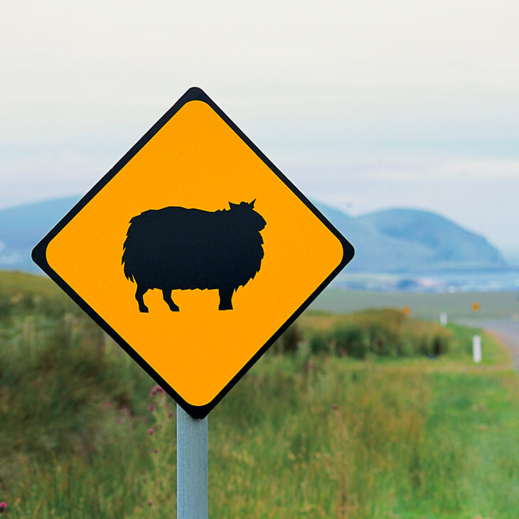 Immersion en Irlande
