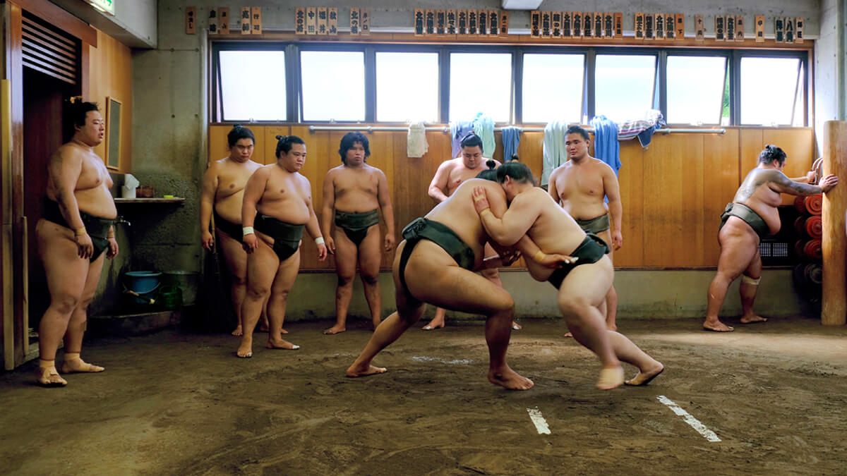 Immersion au Japon