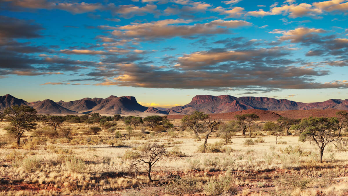 Immersion en Namibie