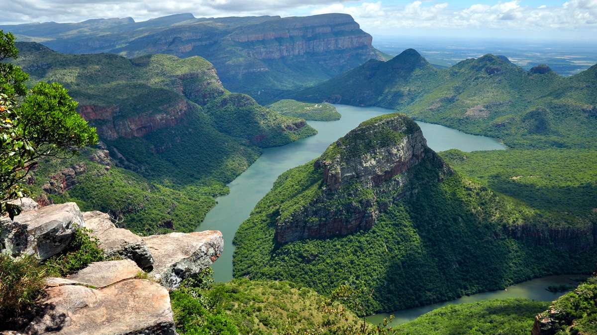 Immersion en Afrique du Sud